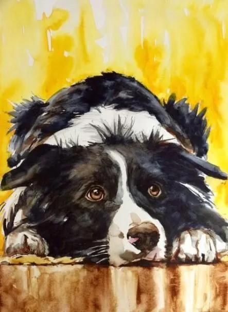 The 15 Most Realistic Australian Shepherd and Border Collie Paintings