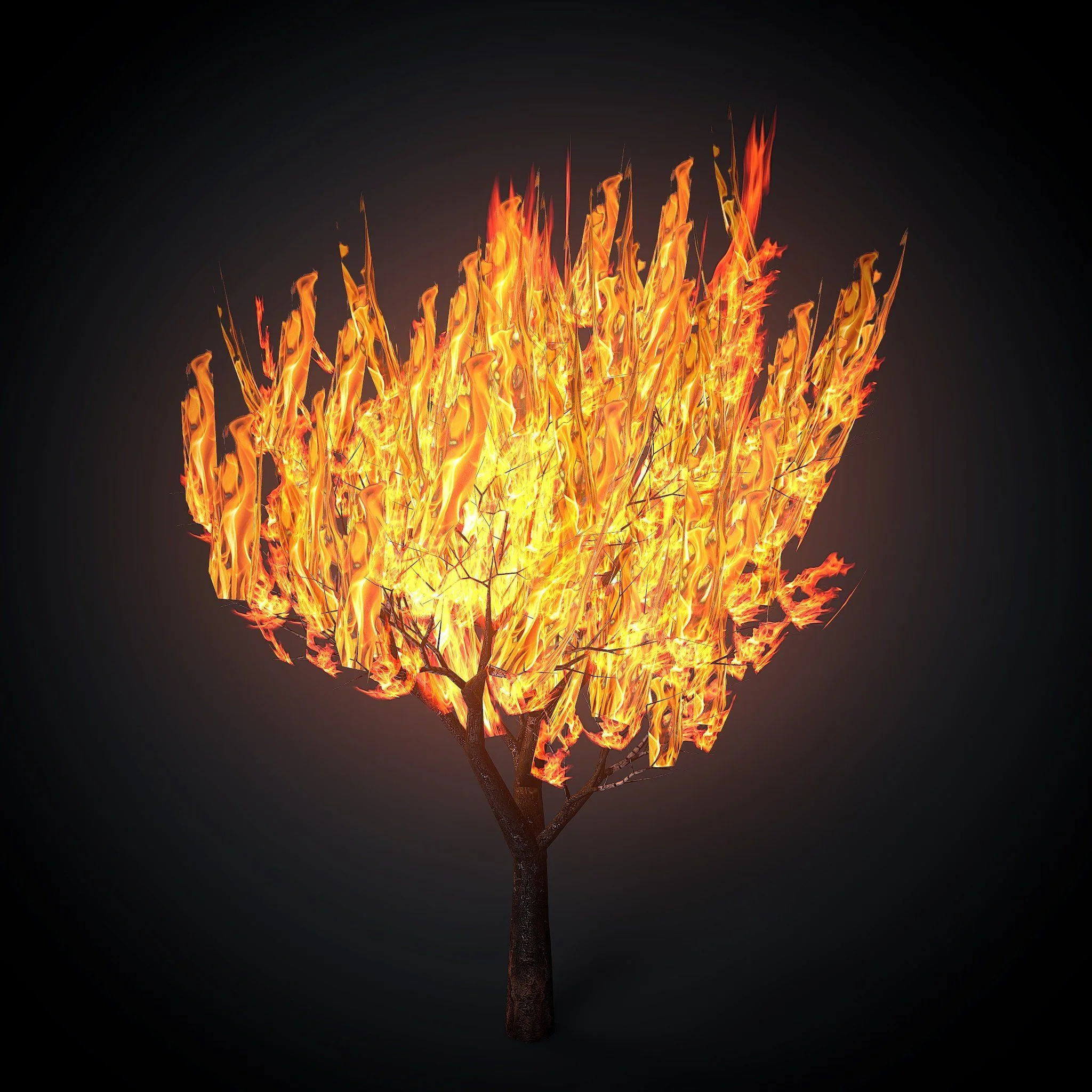 Burning tree mid